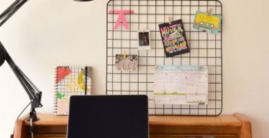 Organizador de fotos
