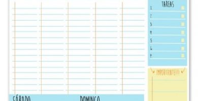 organizador semanal